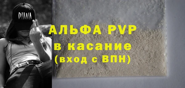 винт Аркадак