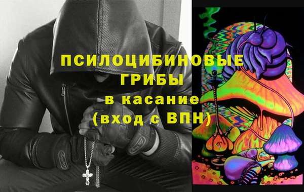 винт Аркадак