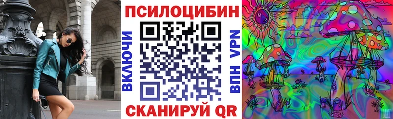 Купить  Ардатов  Галлюциногенные грибы MAGIC MUSHROOMS 