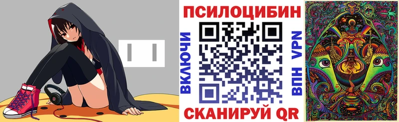 Галлюциногенные грибы Psilocybine cubensis Ардатов